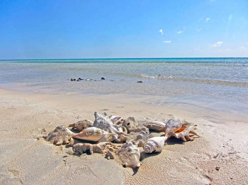 Sharm el Luli, Egypt