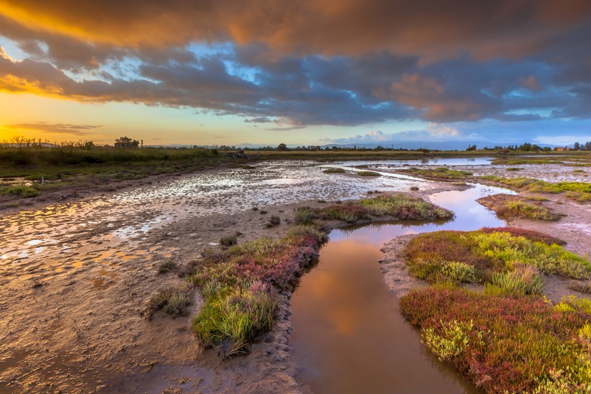 Skala Kallonis, Lesbos