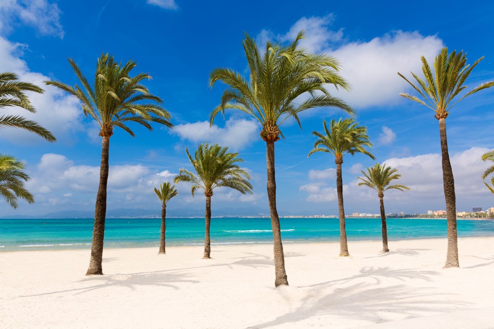 El Arenal, Platja de Palma Llucmajor in mallorca