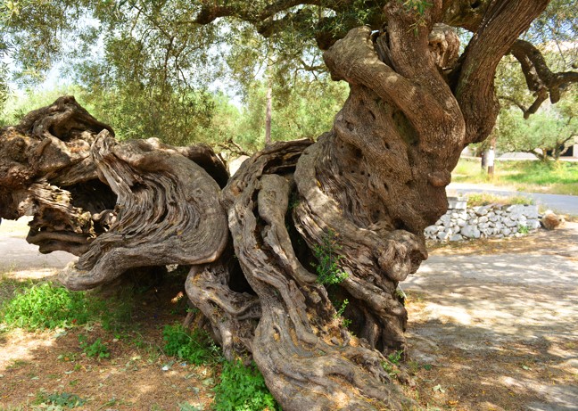 Exo Chora, Zakynthos