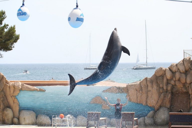 Marineland Mallorca