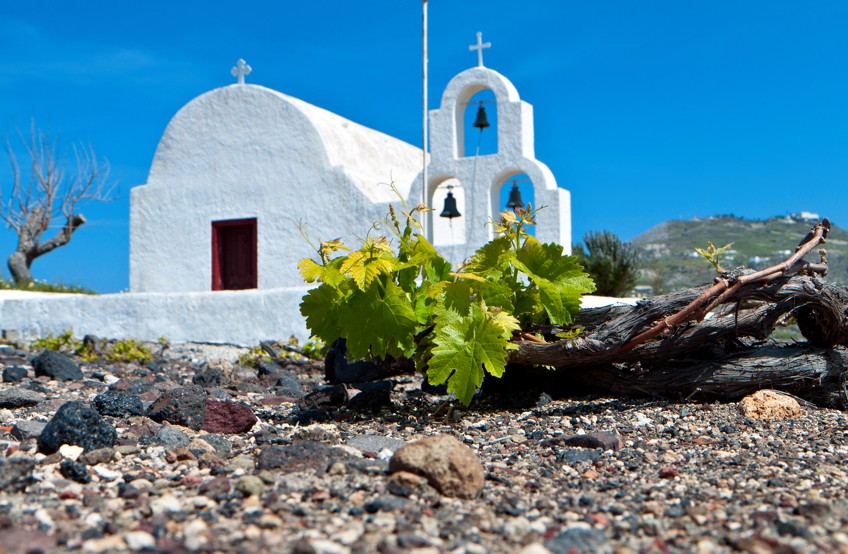 Vinařství Santo Wines santorini